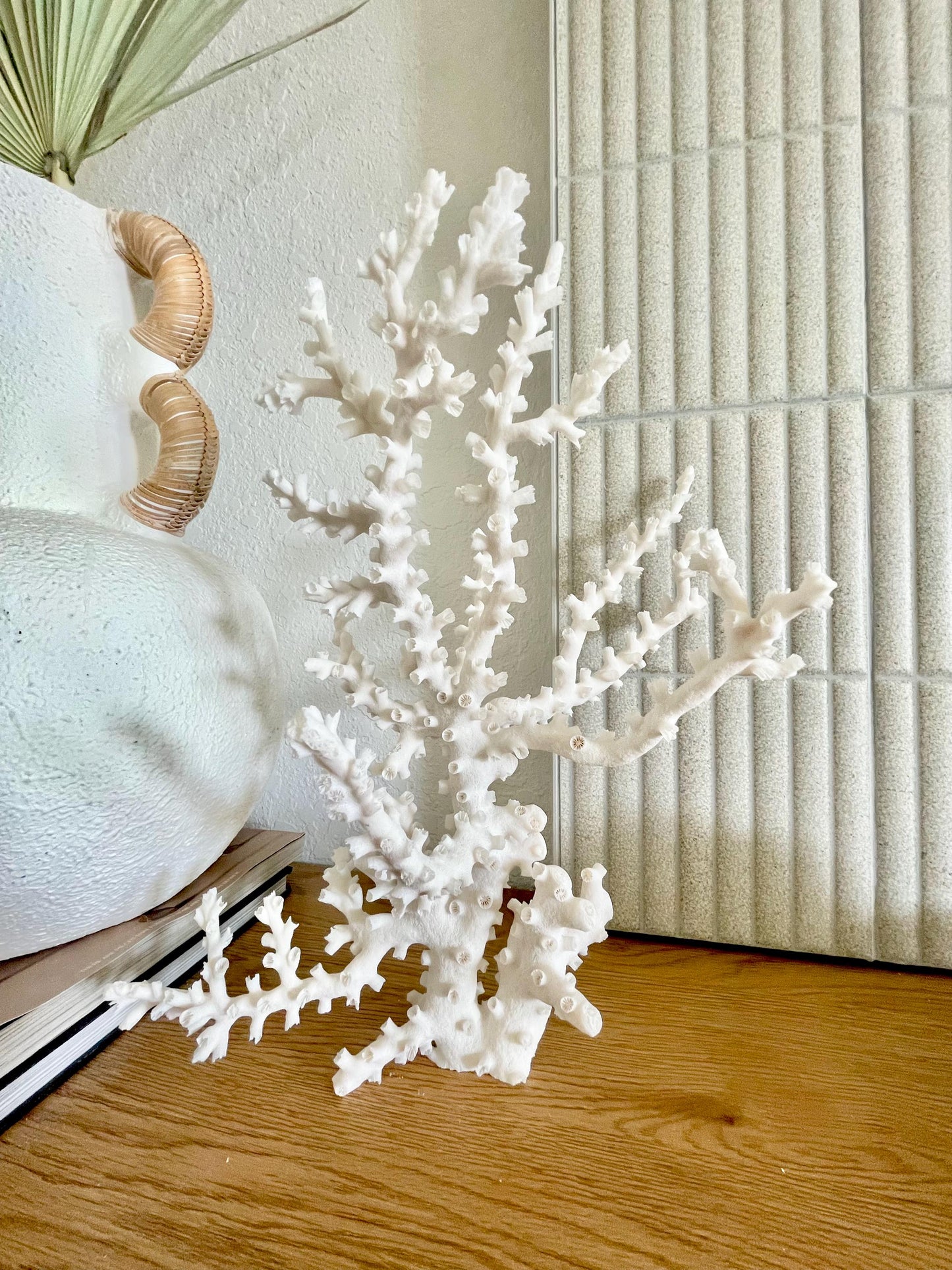 OCTOPUS CORAL Fossil 100% Natural 13"x12.5"x7" Coastal Beach Home Décor Display White