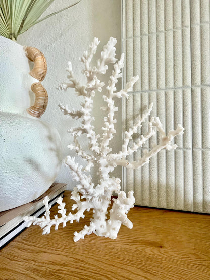 OCTOPUS CORAL Fossil 100% Natural 13"x12.5"x7" Coastal Beach Home Décor Display White
