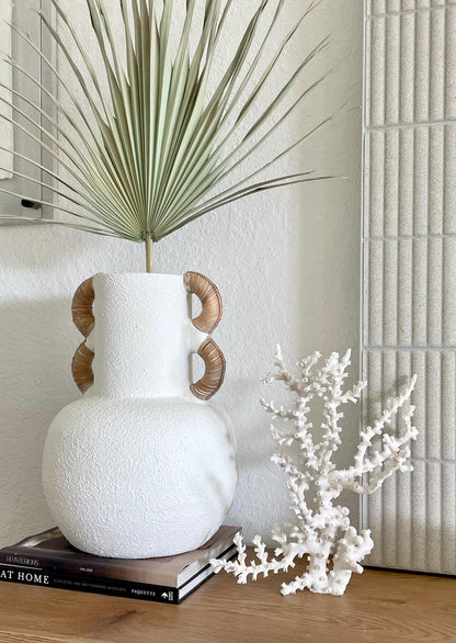 OCTOPUS CORAL Fossil 100% Natural 13"x12.5"x7" Coastal Beach Home Décor Display White