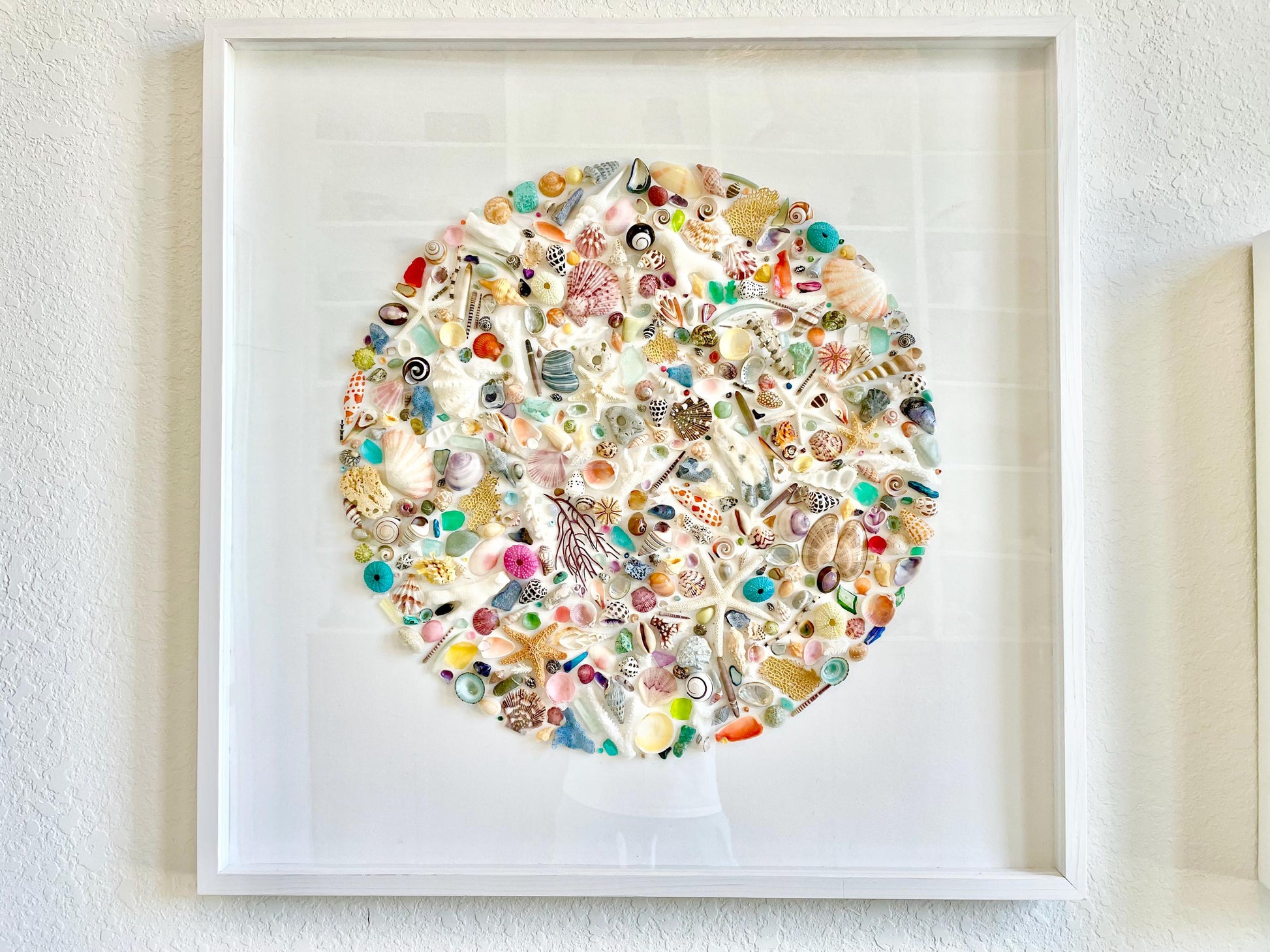 Modern Colorful Framed Shadowbox Coastal Shell Wall Art 31" Square Natural Beach House Décor