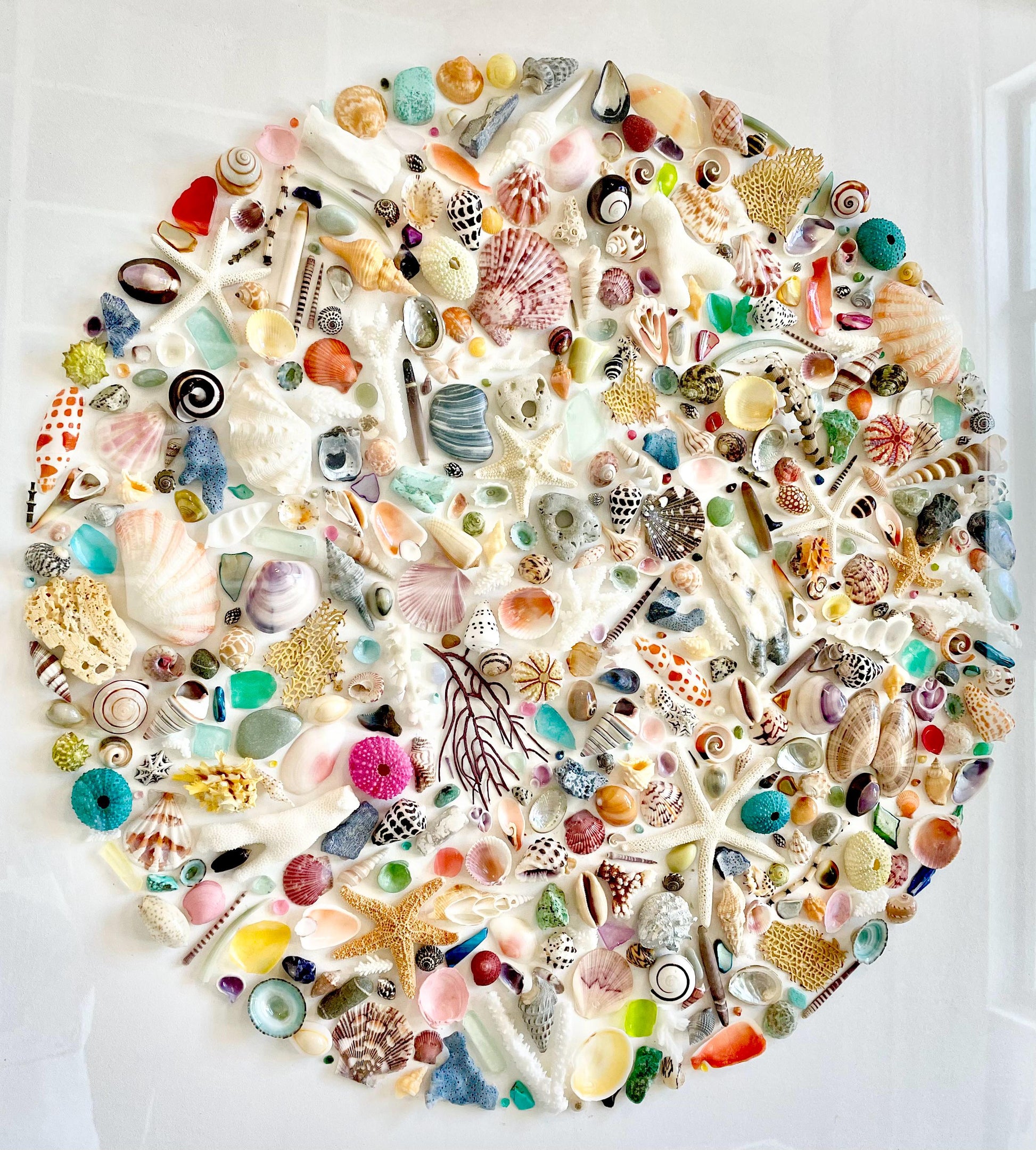 Modern Colorful Framed Shadowbox Coastal Shell Wall Art 31" Square Natural Beach House Décor