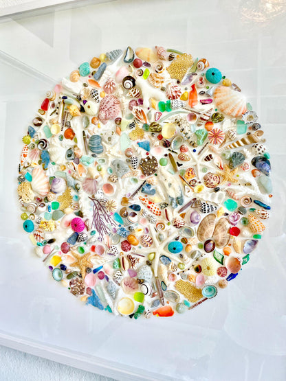 Modern Colorful Framed Shadowbox Coastal Shell Wall Art 31" Square Natural Beach House Décor