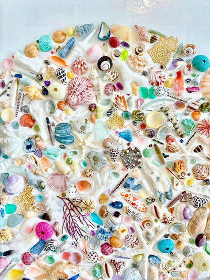 Modern Colorful Framed Shadowbox Coastal Shell Wall Art 31" Square Natural Beach House Décor