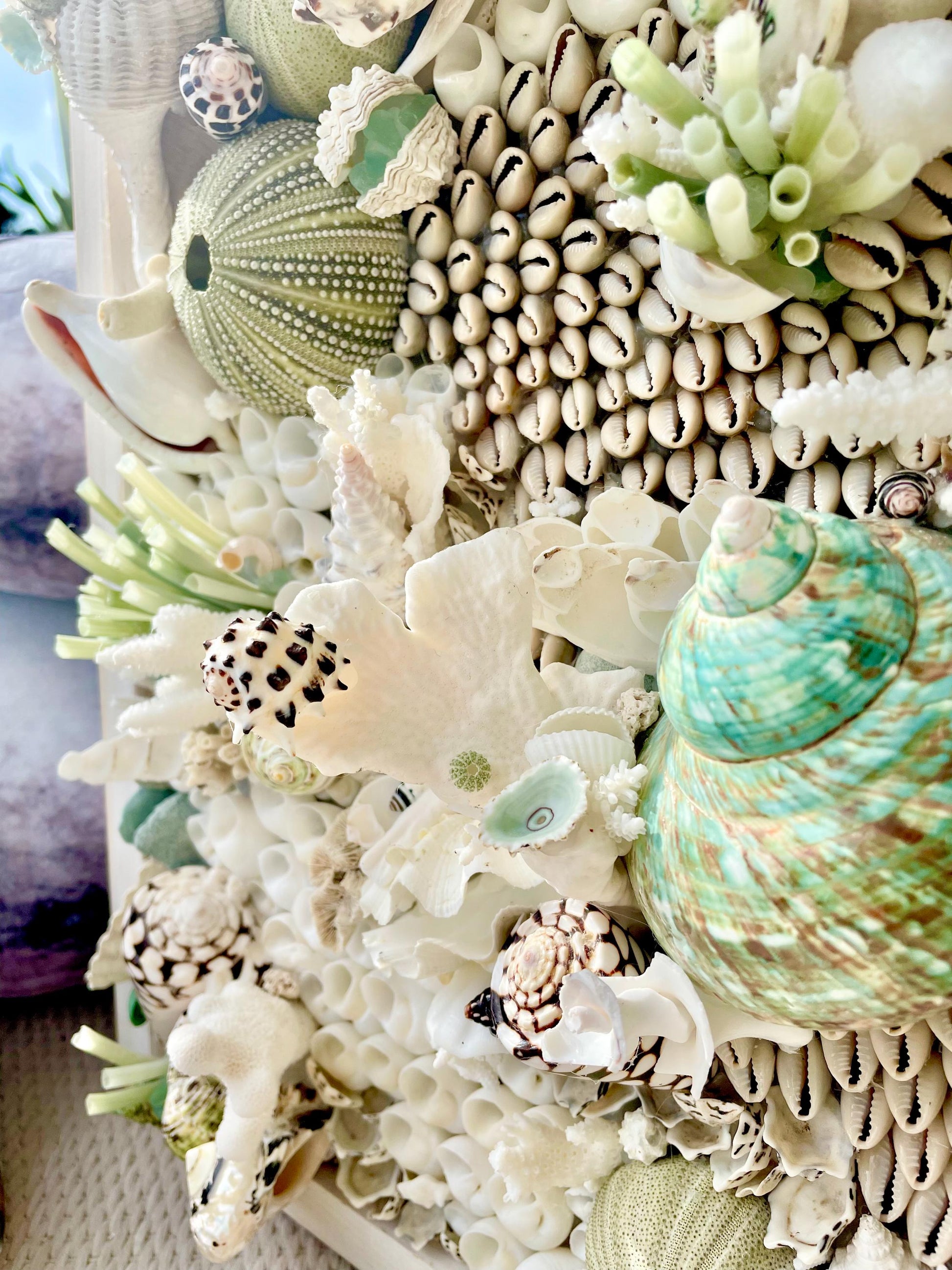 Seashell Modern Coastal Wall Art Natural Textured Sea shells Urchins Coral 32" x 12" Beach House Décor White Black Green