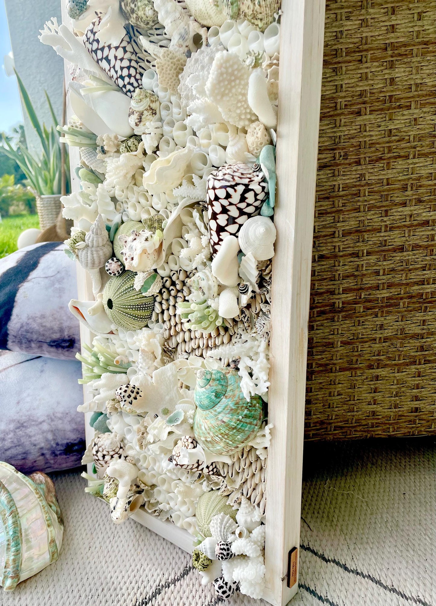 Seashell Modern Coastal Wall Art Natural Textured Sea shells Urchins Coral 32" x 12" Beach House Décor White Black Green