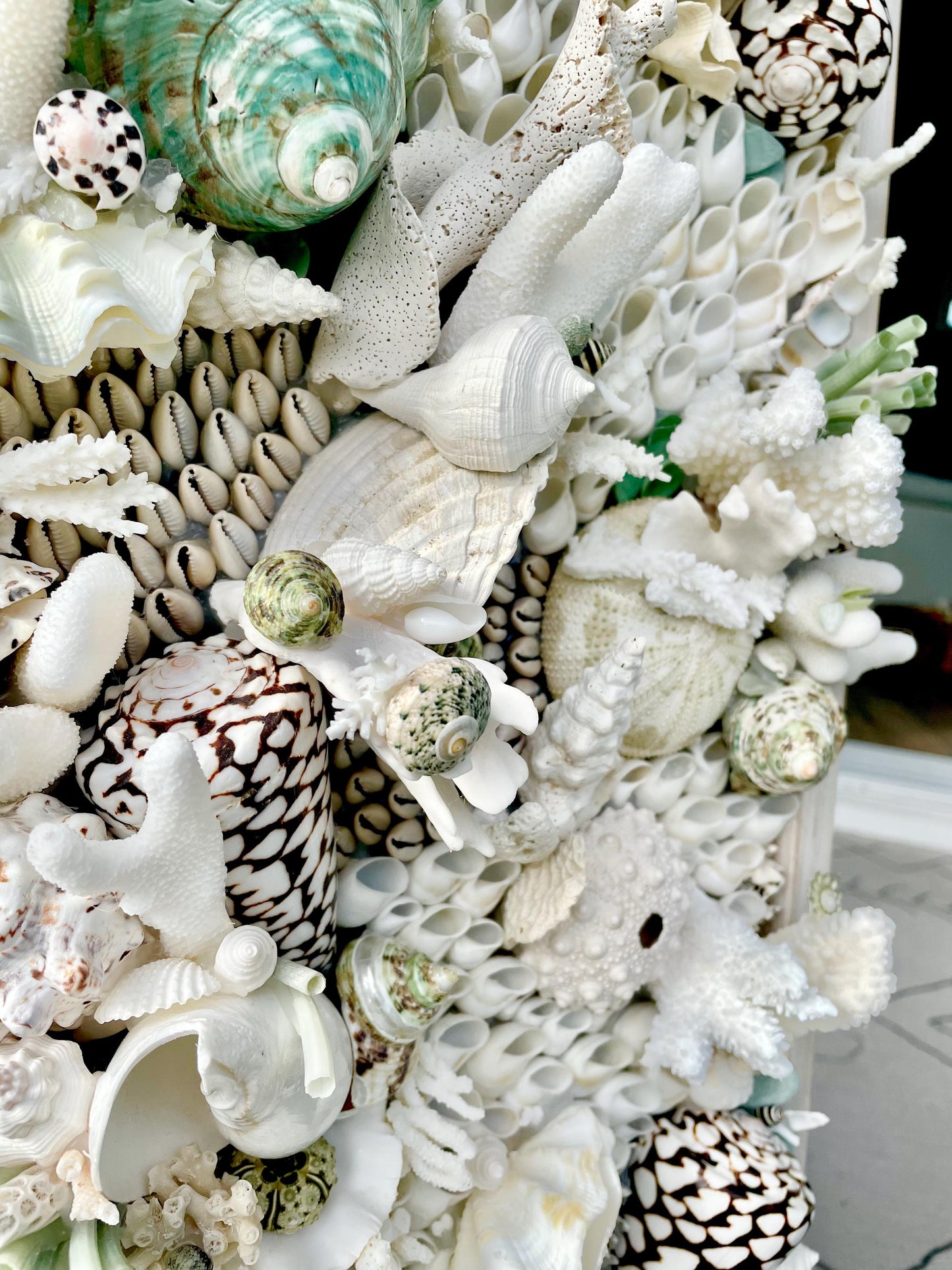 Seashell Modern Coastal Wall Art Natural Textured Sea shells Urchins Coral 32" x 12" Beach House Décor White Black Green