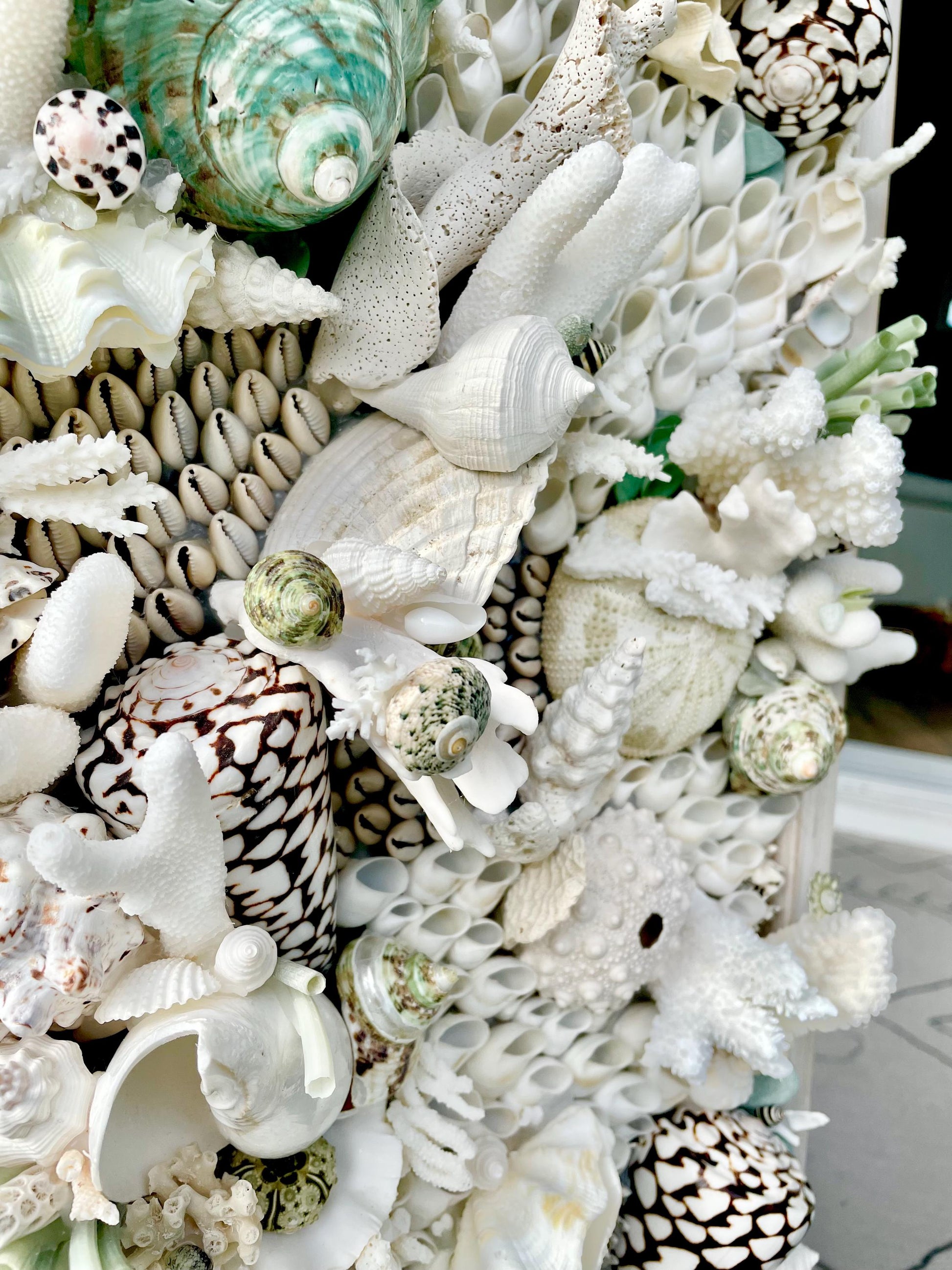 Seashell Modern Coastal Wall Art Natural Textured Sea shells Urchins Coral 32" x 12" Beach House Décor White Black Green