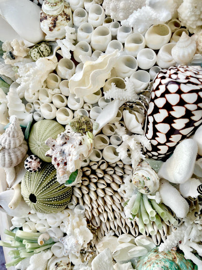 Seashell Modern Coastal Wall Art Natural Textured Sea shells Urchins Coral 32" x 12" Beach House Décor White Black Green