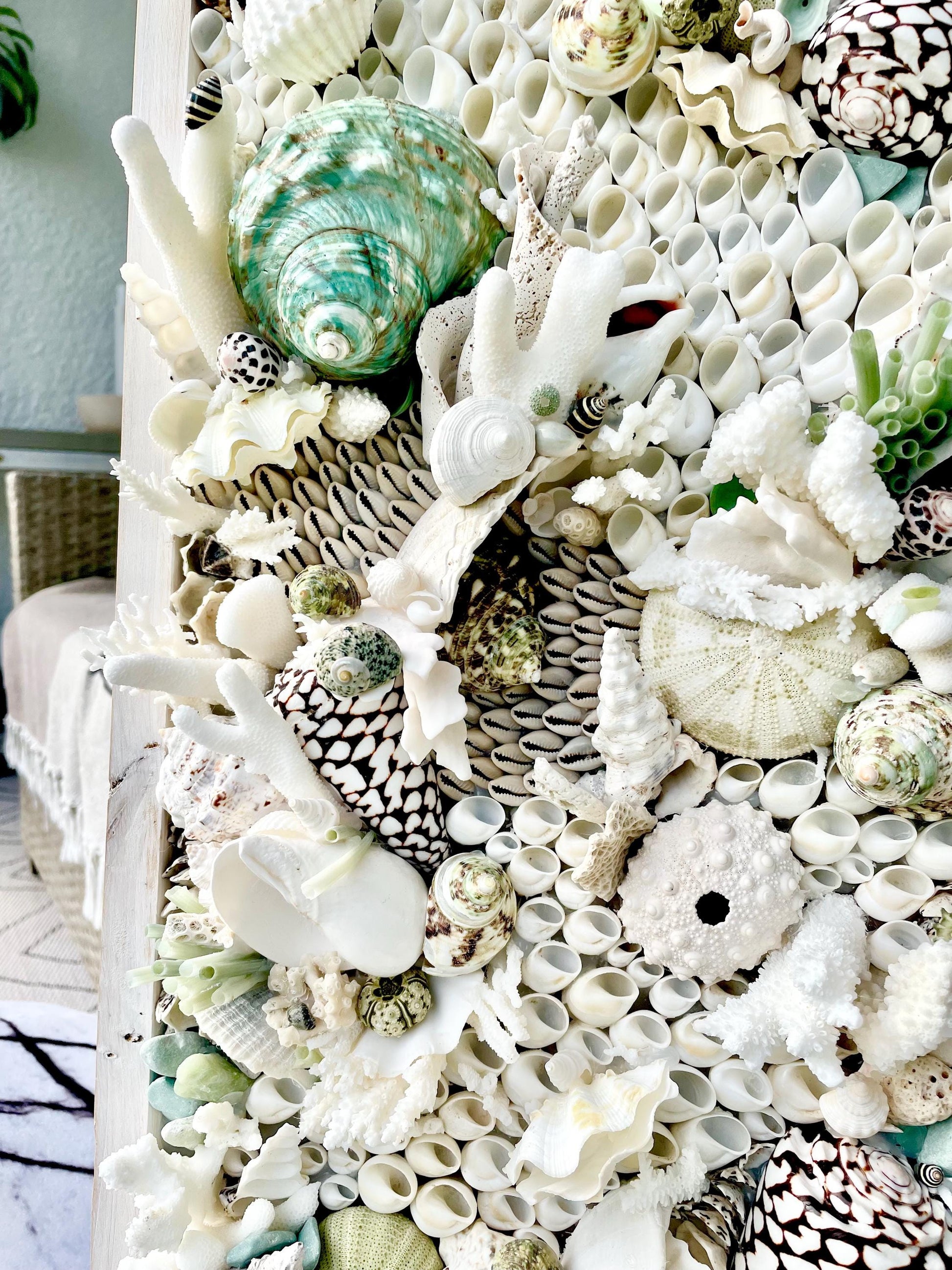 Seashell Modern Coastal Wall Art Natural Textured Sea shells Urchins Coral 32" x 12" Beach House Décor White Black Green