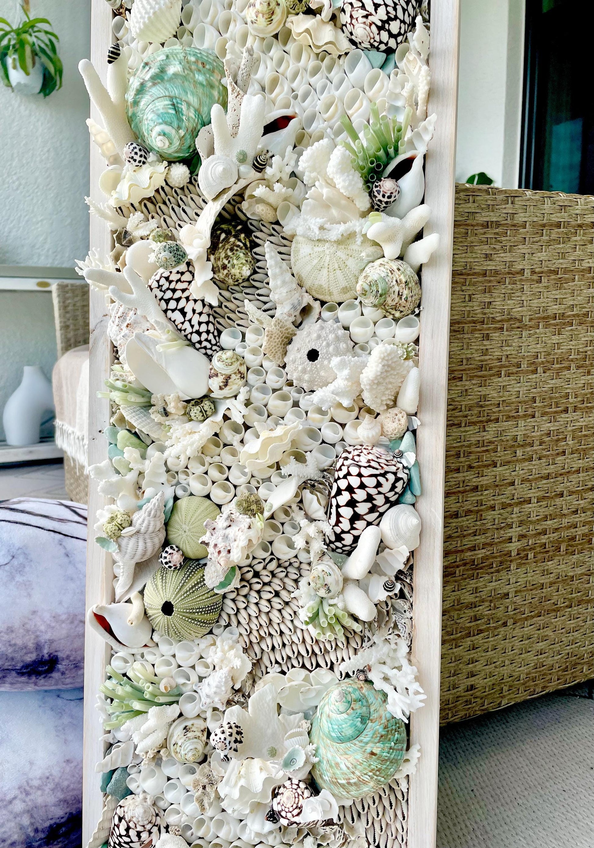 Seashell Modern Coastal Wall Art Natural Textured Sea shells Urchins Coral 32" x 12" Beach House Décor White Black Green
