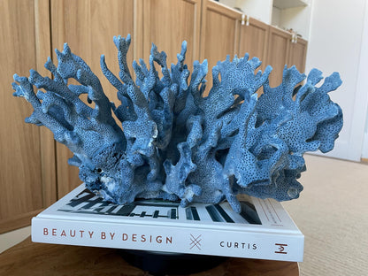 Genuine 100% Natural Blue Ridge Coral 15" Long Fossil Specimen Coastal Ocean Reef Display Nautical Beach House Décor
