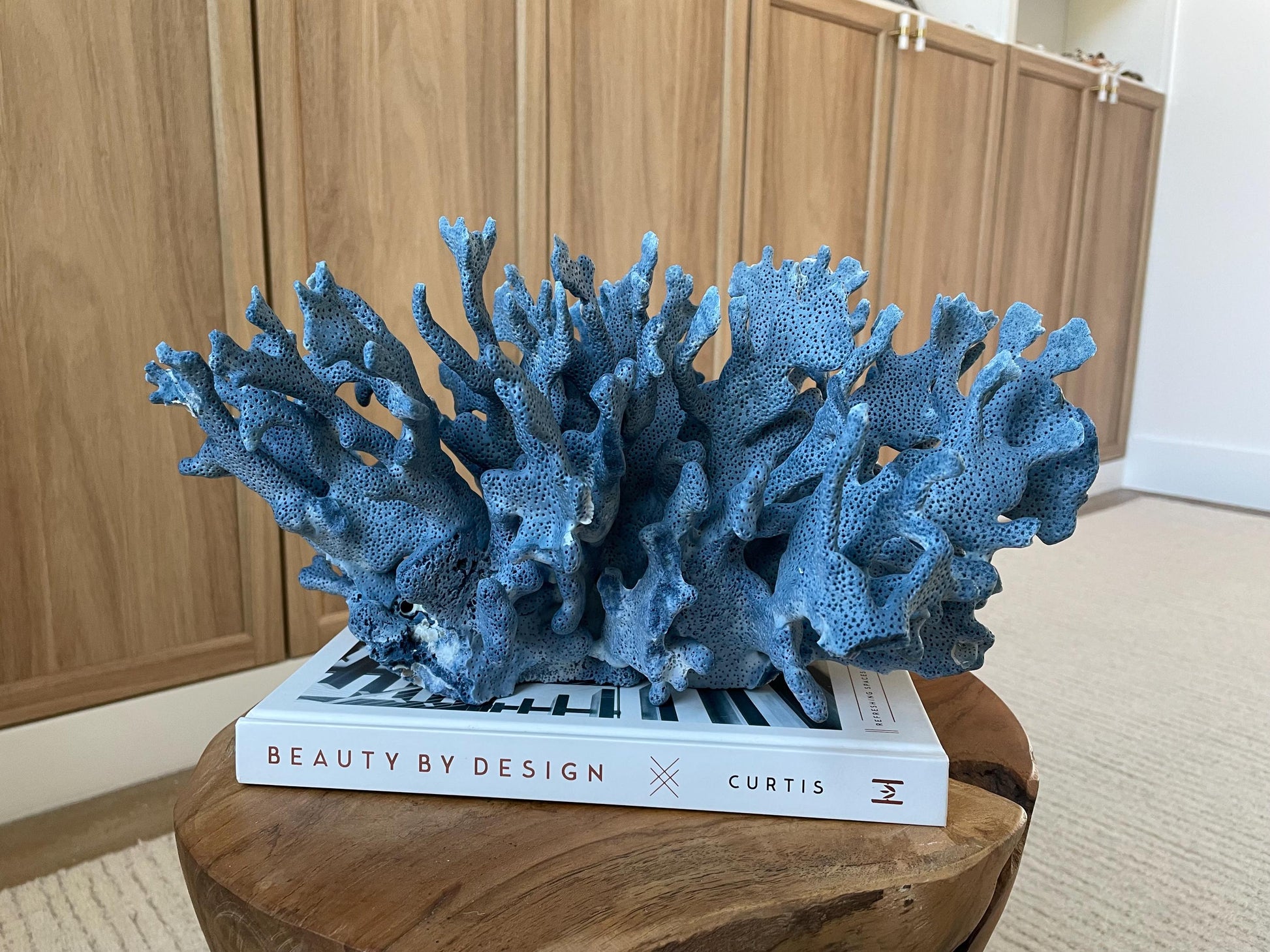 Genuine 100% Natural Blue Ridge Coral 15" Long Fossil Specimen Coastal Ocean Reef Display Nautical Beach House Décor