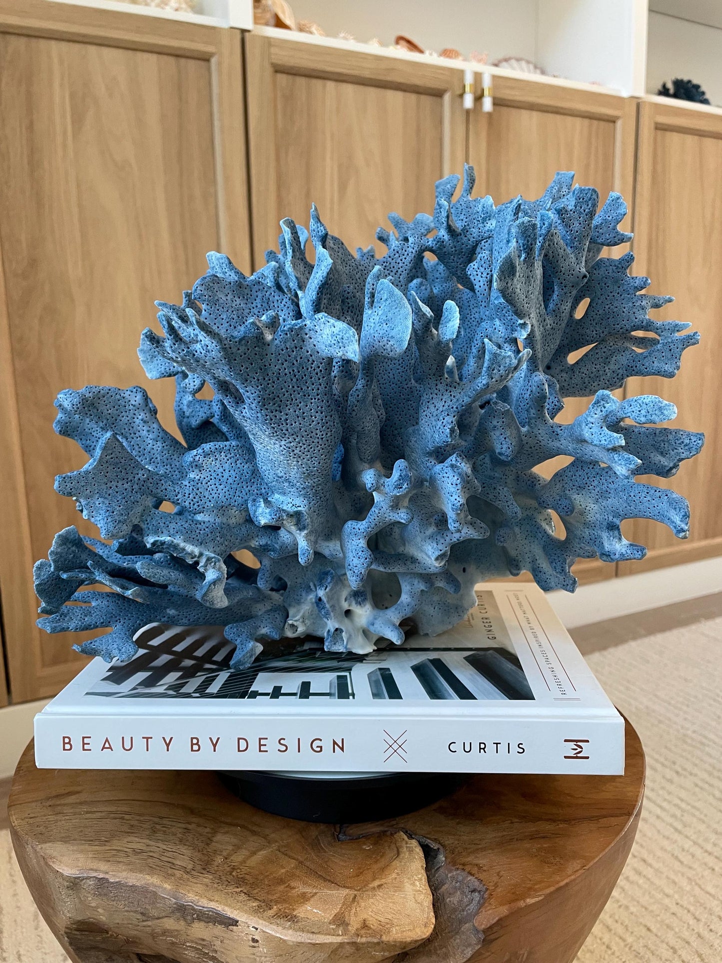 Genuine 100% Natural Blue Ridge Coral 12.5" x 10.25" x 10" Long Fossil Specimen Coastal Ocean Reef Display Nautical Beach House Décor