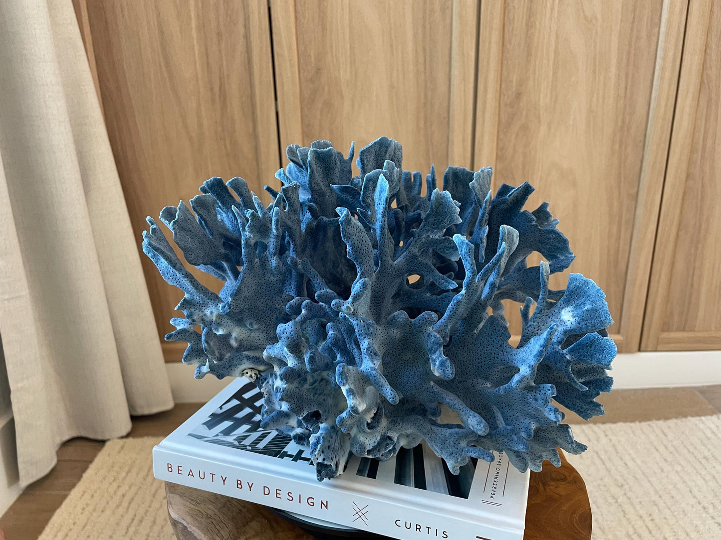 Genuine 100% Natural Blue Ridge Coral 12.5" x 12" x 8" Long Fossil Specimen Coastal Ocean Reef Display Nautical Beach House Décor