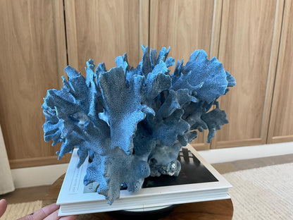 Genuine 100% Natural Blue Ridge Coral 12.5" x 12" x 8" Long Fossil Specimen Coastal Ocean Reef Display Nautical Beach House Décor