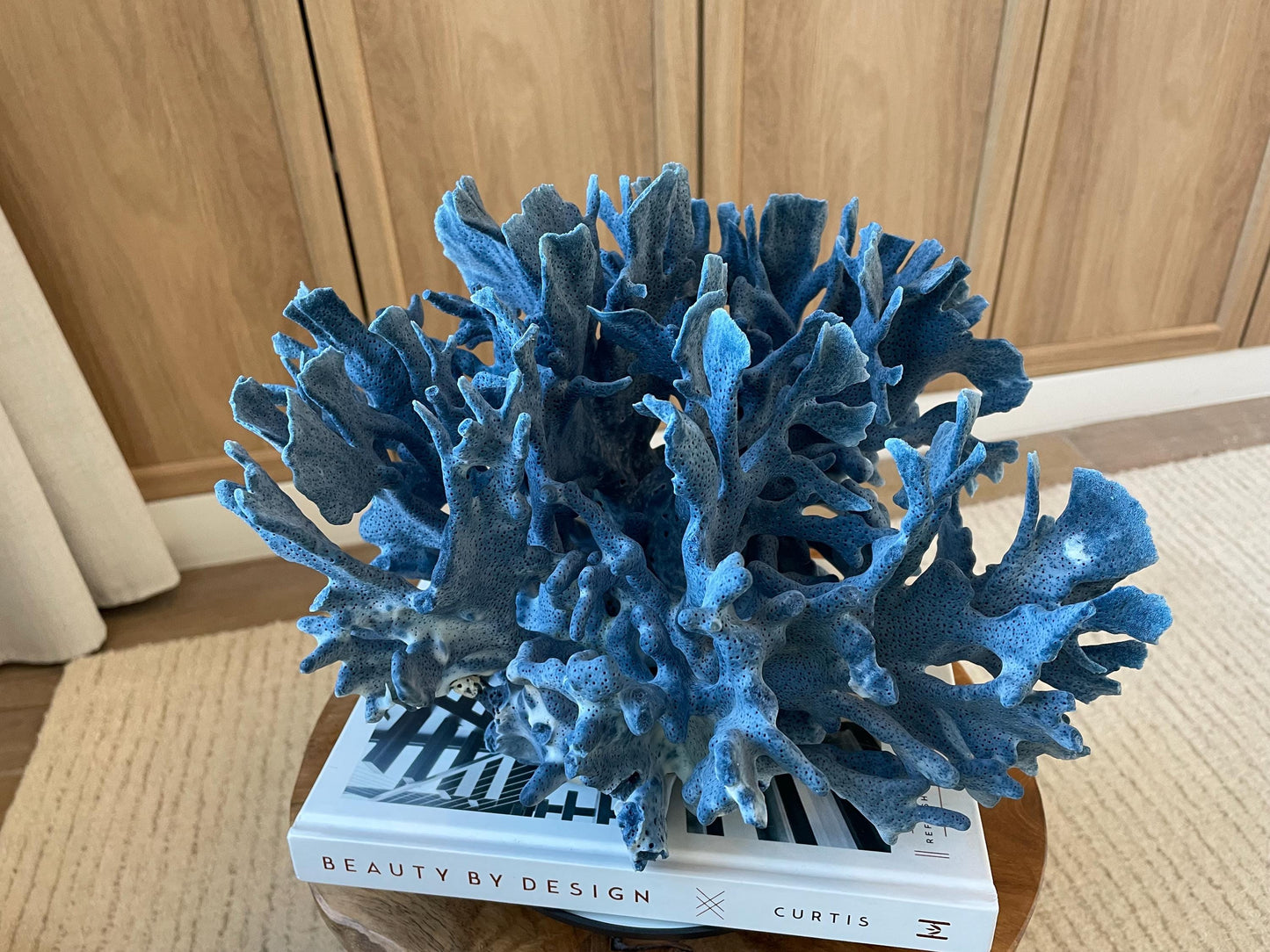 Genuine 100% Natural Blue Ridge Coral 12.5" x 12" x 8" Long Fossil Specimen Coastal Ocean Reef Display Nautical Beach House Décor