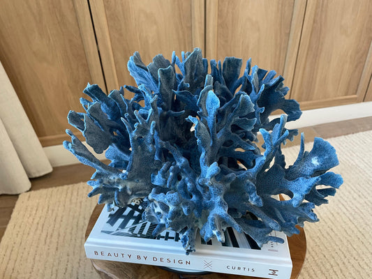 Genuine 100% Natural Blue Ridge Coral 12.5" x 12" x 8" Long Fossil Specimen Coastal Ocean Reef Display Nautical Beach House Décor