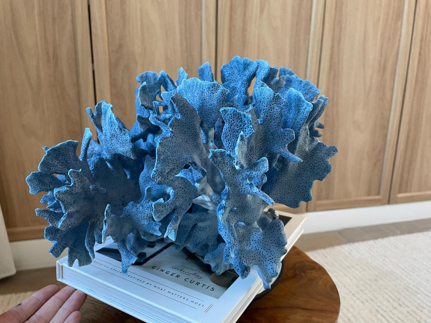 Genuine 100% Natural Blue Ridge Coral 12.5" x 12" x 8" Long Fossil Specimen Coastal Ocean Reef Display Nautical Beach House Décor