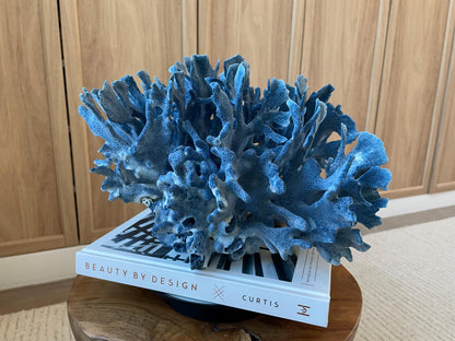 Genuine 100% Natural Blue Ridge Coral 12.5" x 12" x 8" Long Fossil Specimen Coastal Ocean Reef Display Nautical Beach House Décor