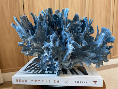 Genuine 100% Natural Blue Ridge Coral 12.5" x 12" x 8" Long Fossil Specimen Coastal Ocean Reef Display Nautical Beach House Décor