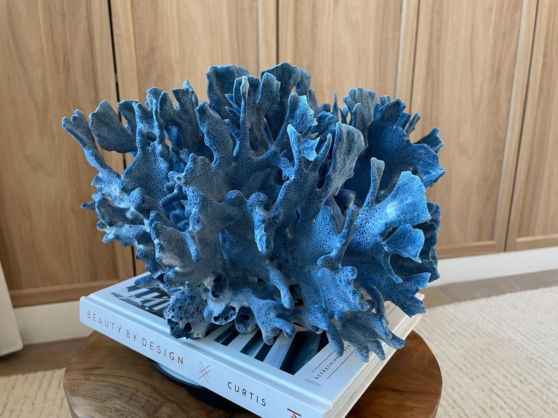 Genuine 100% Natural Blue Ridge Coral 12.5" x 12" x 8" Long Fossil Specimen Coastal Ocean Reef Display Nautical Beach House Décor