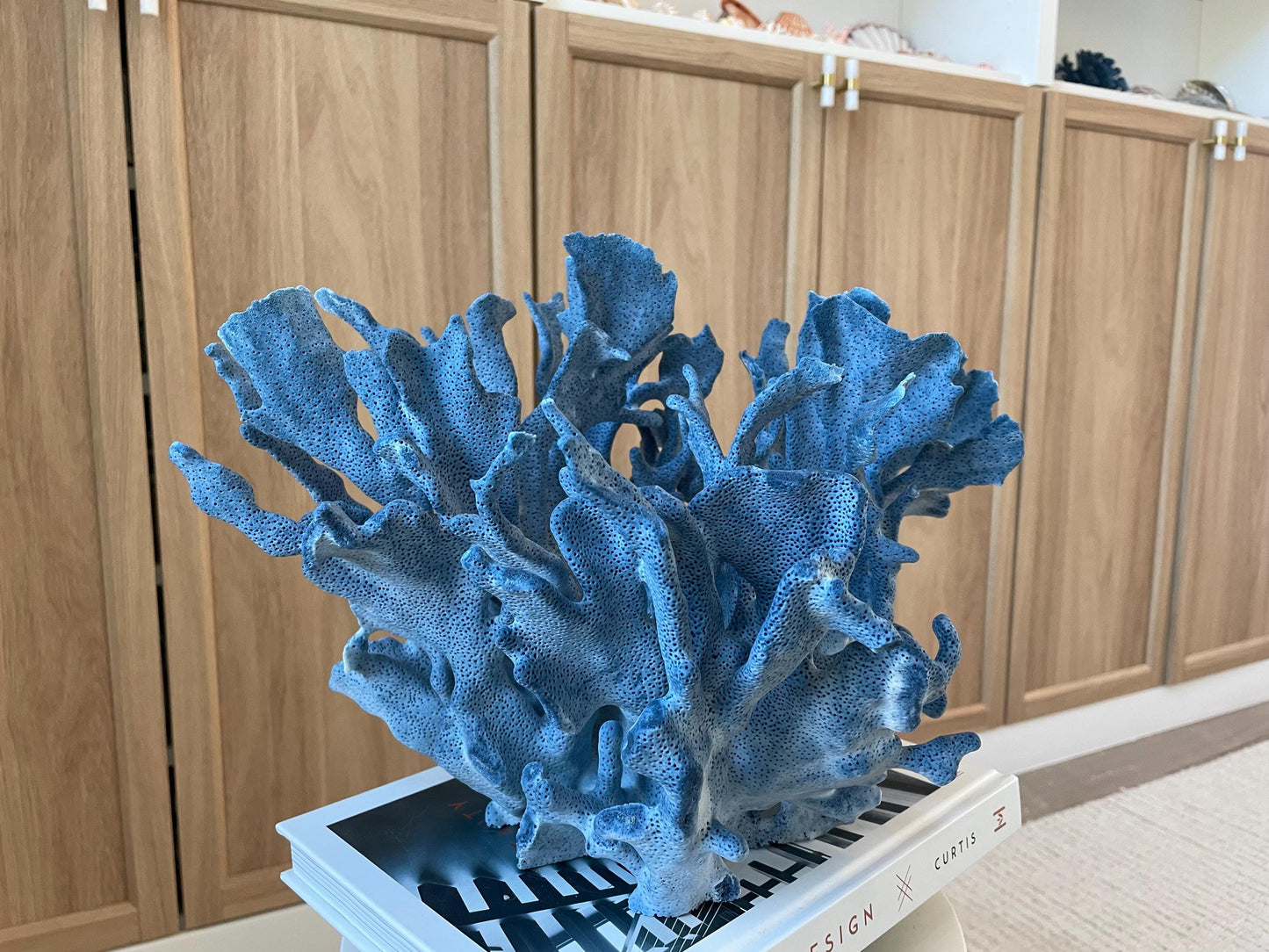 Genuine 100% Natural Blue Ridge Coral 13.5" x 11" x 9.5" Long Fossil Specimen Coastal Ocean Reef Display Nautical Beach House Décor