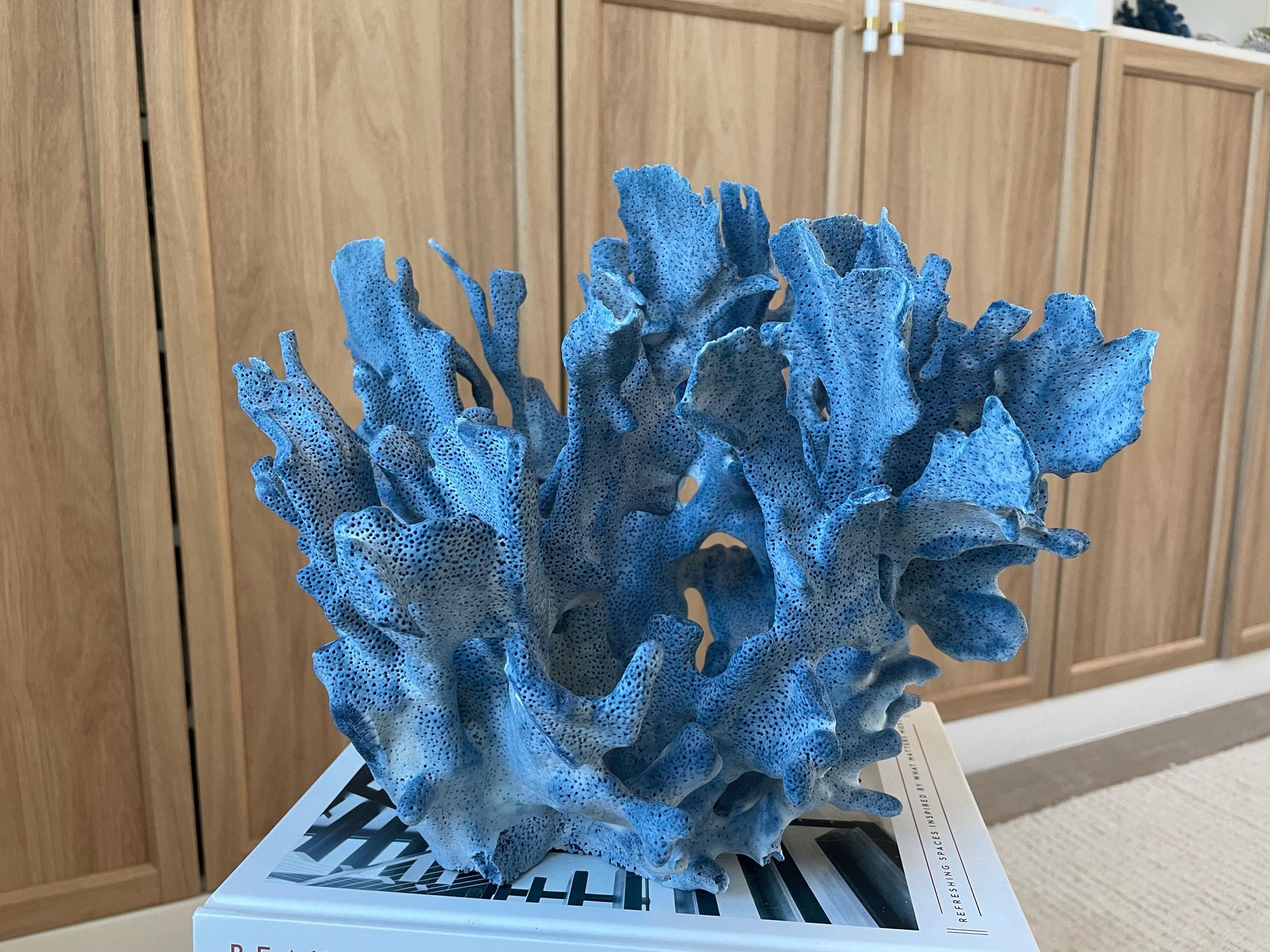 Genuine 100% Natural Blue Ridge Coral 13.5" x 11" x 9.5" Long Fossil Specimen Coastal Ocean Reef Display Nautical Beach House Décor