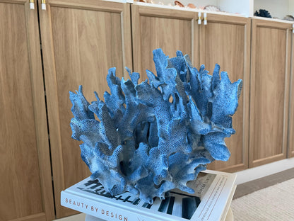 Genuine 100% Natural Blue Ridge Coral 13.5" x 11" x 9.5" Long Fossil Specimen Coastal Ocean Reef Display Nautical Beach House Décor
