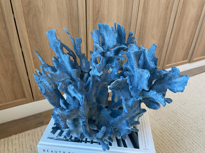 Genuine 100% Natural Blue Ridge Coral 13.5" x 11" x 9.5" Long Fossil Specimen Coastal Ocean Reef Display Nautical Beach House Décor