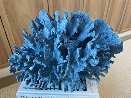 Genuine 100% Natural Blue Ridge Coral 13.5" x 11.5" x 9.5" Long Fossil Specimen Coastal Ocean Reef Display Nautical Beach House Décor