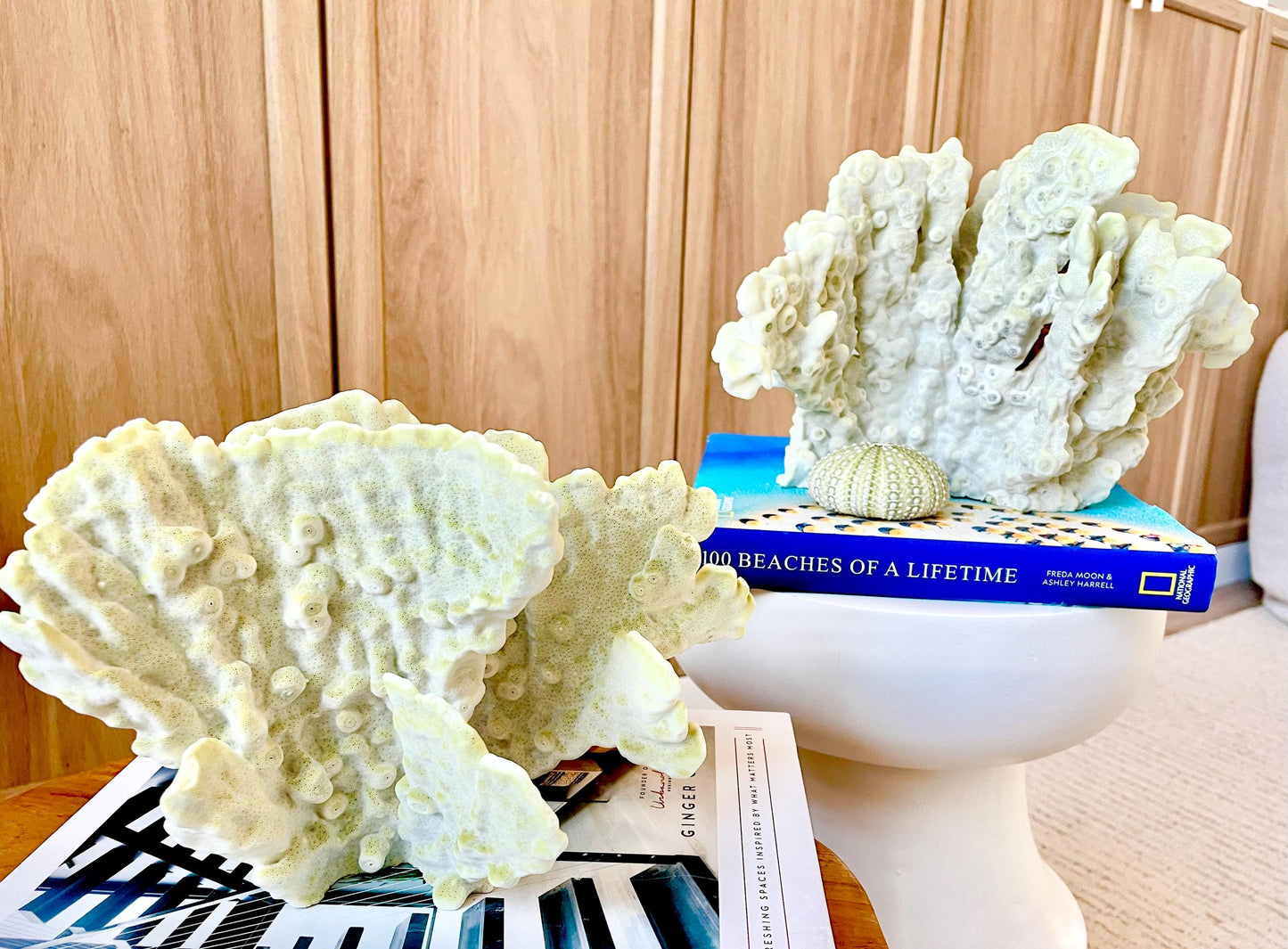 GREEN FIRE SLAB Coral *All Sizes* Authentic Natural Real Sea Fossil Coastal Décor