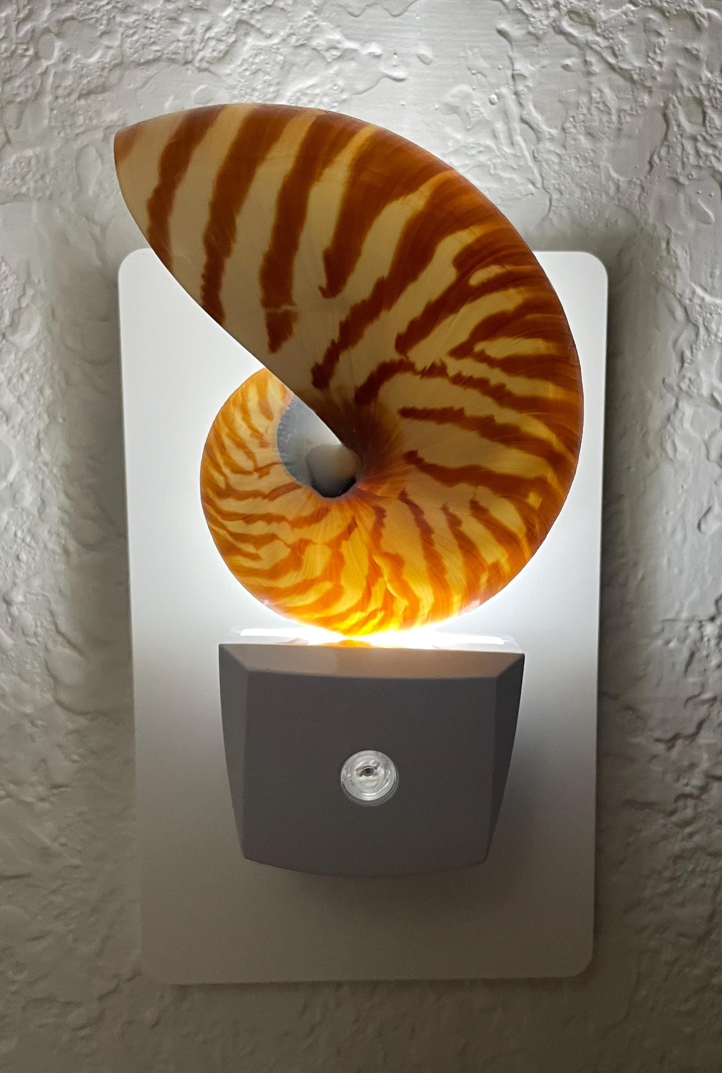 NAUTILUS NIGHT LIGHT Solar Powered Striped Chambered Natural Brown White Tiger Stripe Display Seashell Coastal Beach House Décor Gift