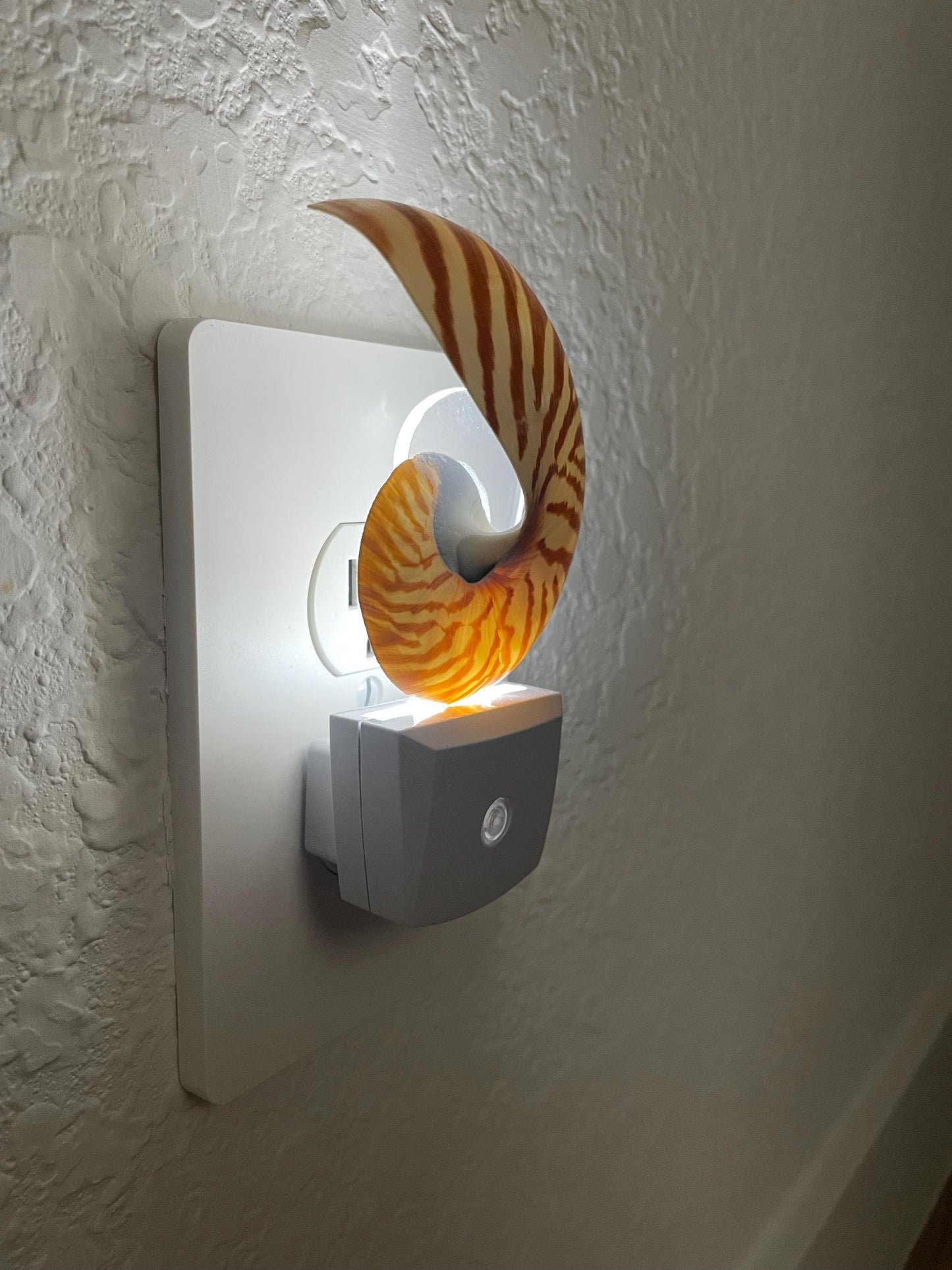 NAUTILUS NIGHT LIGHT Solar Powered Striped Chambered Natural Brown White Tiger Stripe Display Seashell Coastal Beach House Décor Gift
