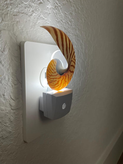NAUTILUS NIGHT LIGHT Solar Powered Striped Chambered Natural Brown White Tiger Stripe Display Seashell Coastal Beach House Décor Gift