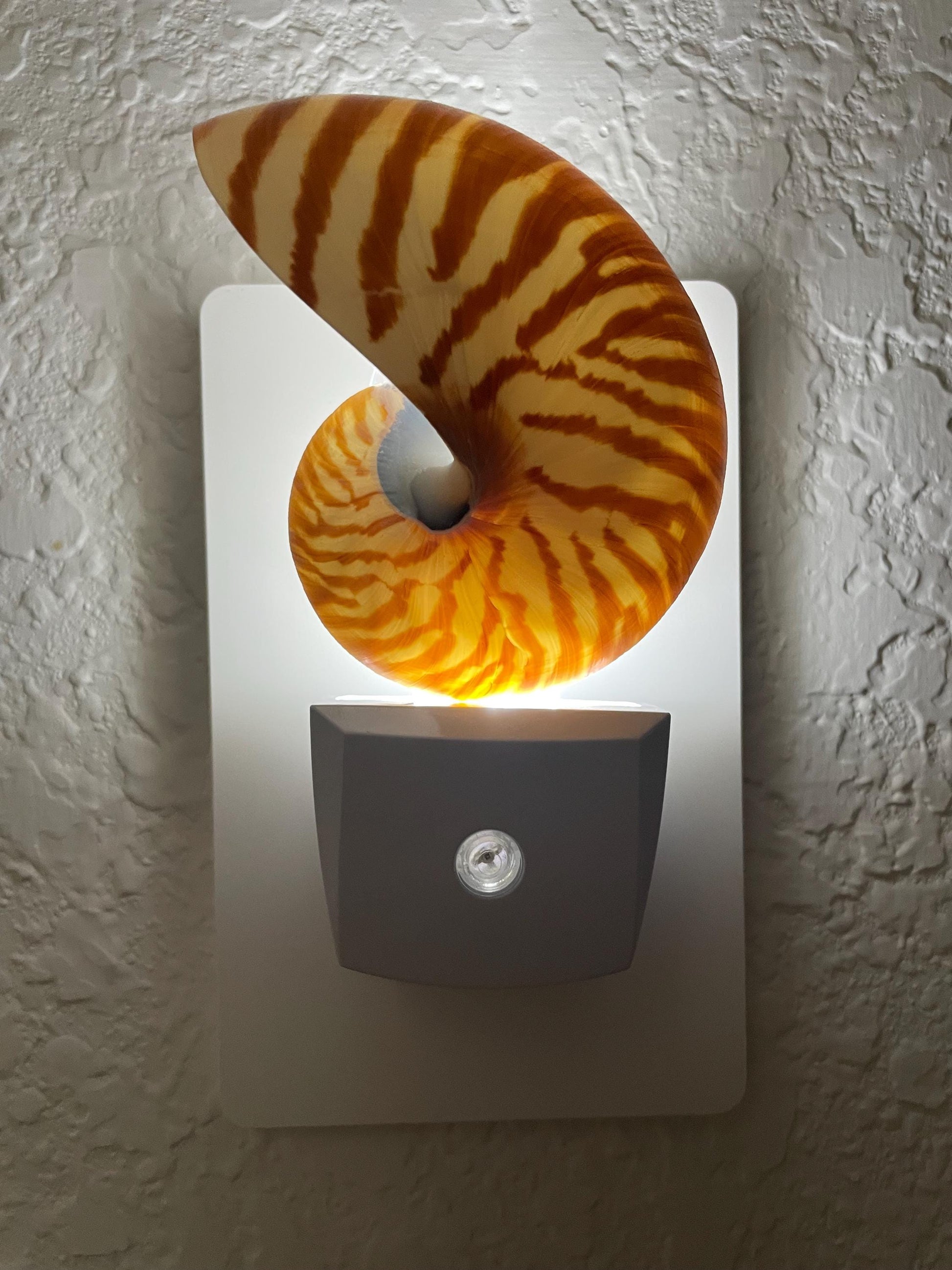 NAUTILUS NIGHT LIGHT Solar Powered Striped Chambered Natural Brown White Tiger Stripe Display Seashell Coastal Beach House Décor Gift