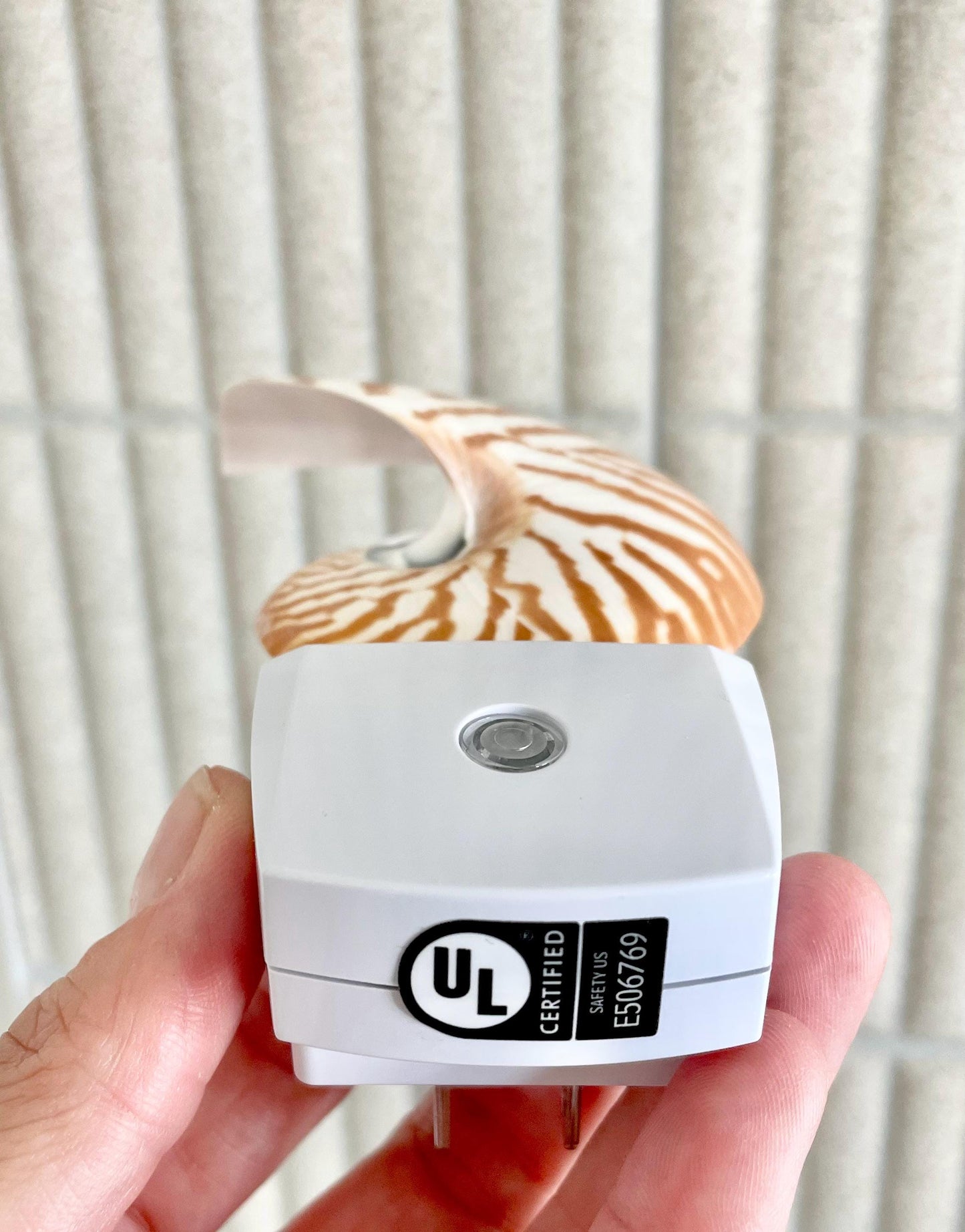 NAUTILUS NIGHT LIGHT Solar Powered Striped Chambered Natural Brown White Tiger Stripe Display Seashell Coastal Beach House Décor Gift