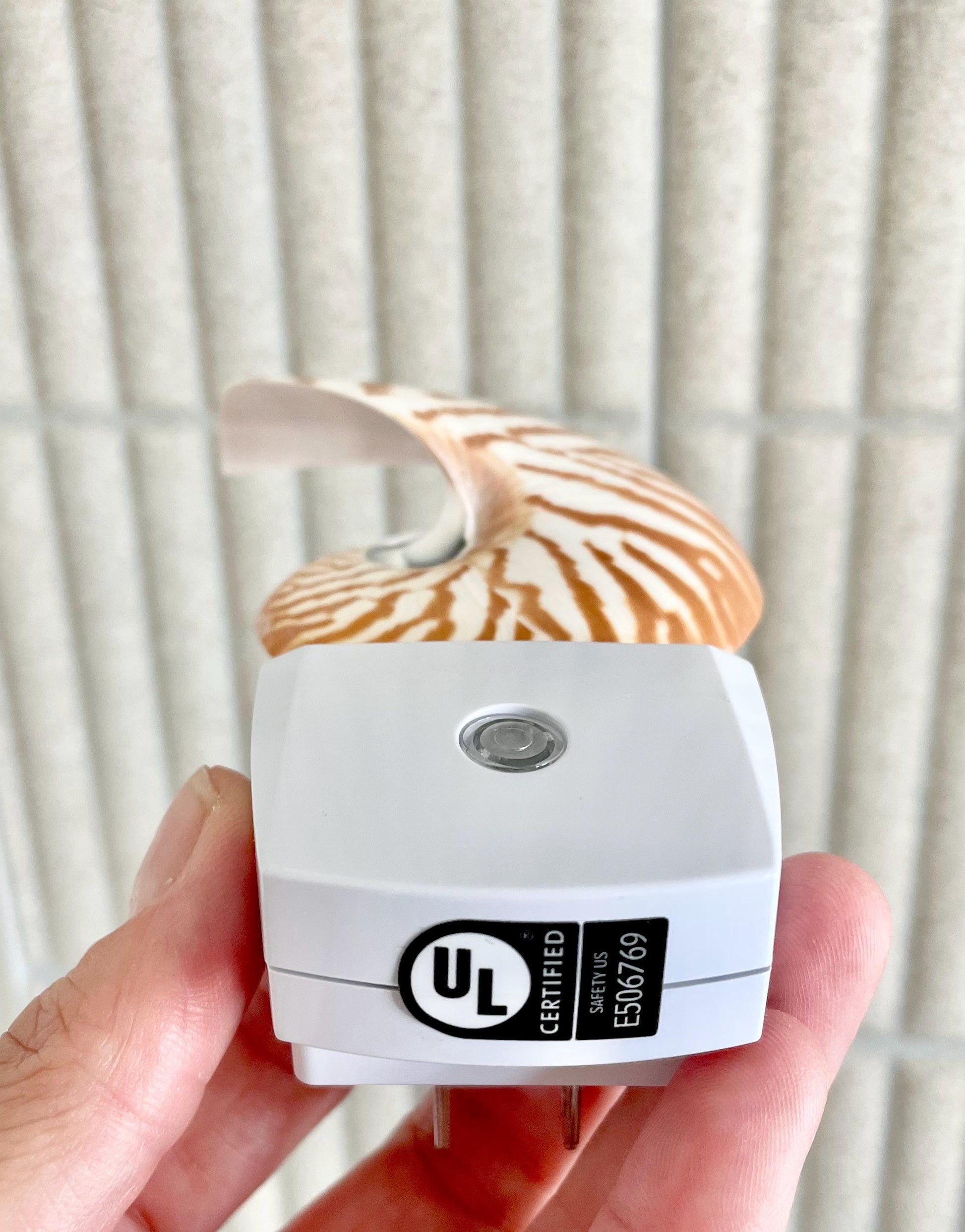 NAUTILUS NIGHT LIGHT Solar Powered Striped Chambered Natural Brown White Tiger Stripe Display Seashell Coastal Beach House Décor Gift