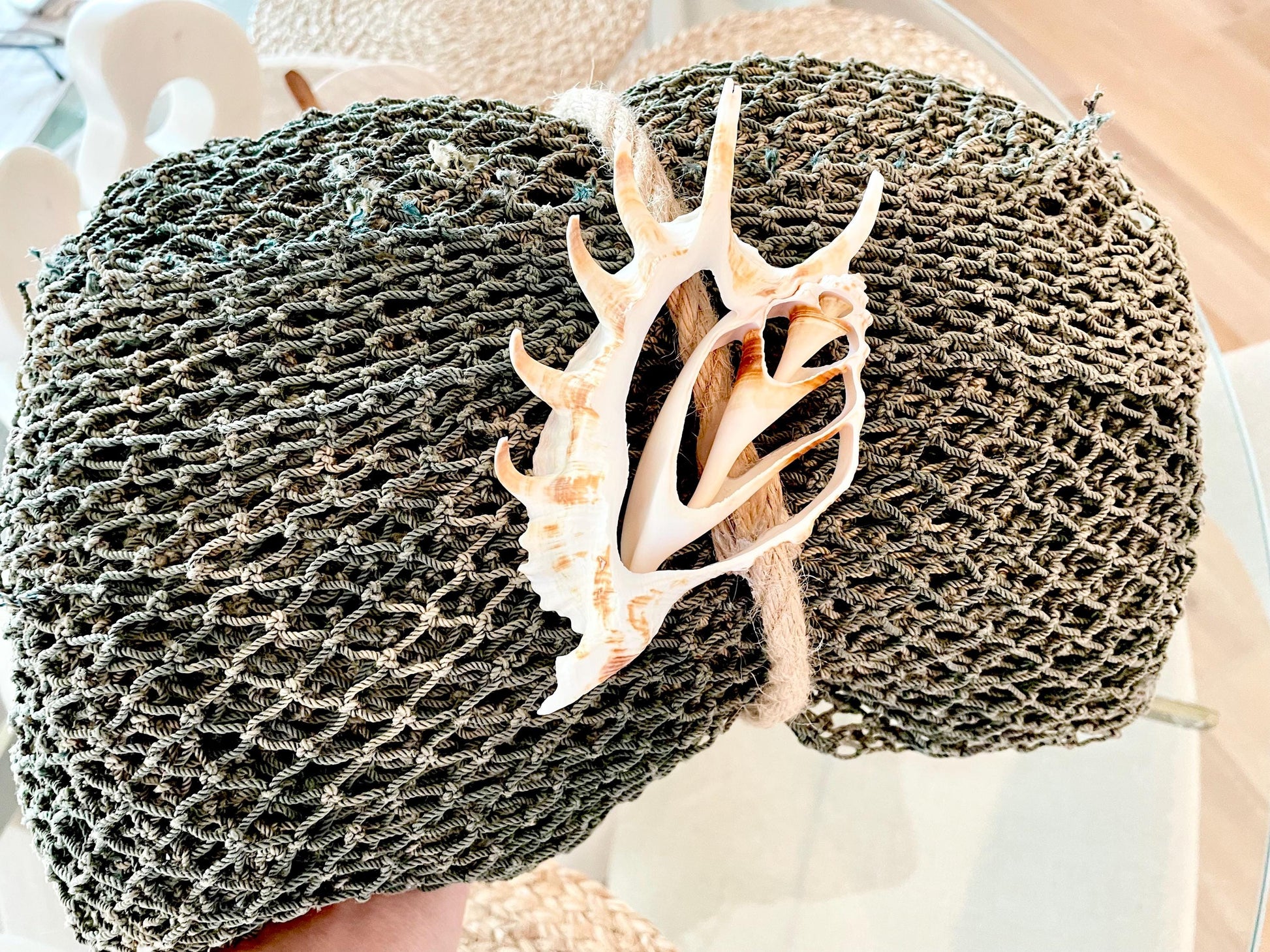 Recycled 4x9' Decorative Fish Net Green Grey Sliced Shell Coastal Beach Table Cloth Sustainable