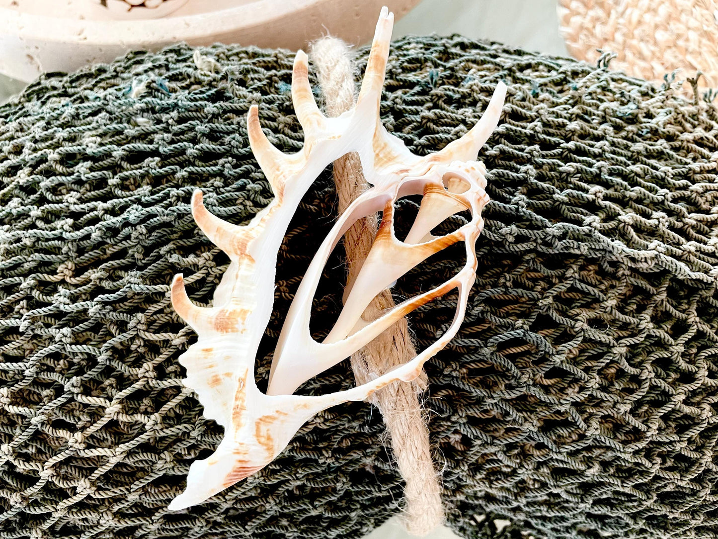 Recycled 4x9' Decorative Fish Net Green Grey Sliced Shell Coastal Beach Table Cloth Sustainable