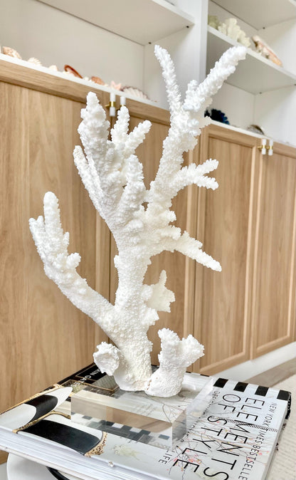 Genuine 100% Natural BRANCH CORAL 13" x 8" x 7" Long Fossil Specimen Coastal Ocean Reef Display Nautical Beach House Décor