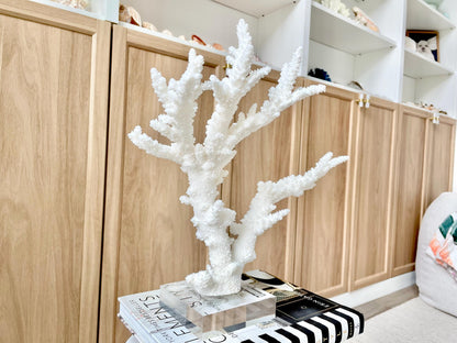 Genuine 100% Natural BRANCH CORAL 13.5" x 12" x 7" Long Fossil Specimen Coastal Ocean Reef Display Nautical Beach House Décor