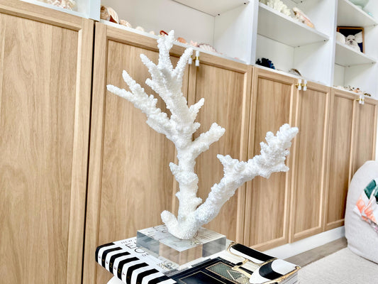 Genuine 100% Natural BRANCH CORAL 13.5" x 12" x 7" Long Fossil Specimen Coastal Ocean Reef Display Nautical Beach House Décor