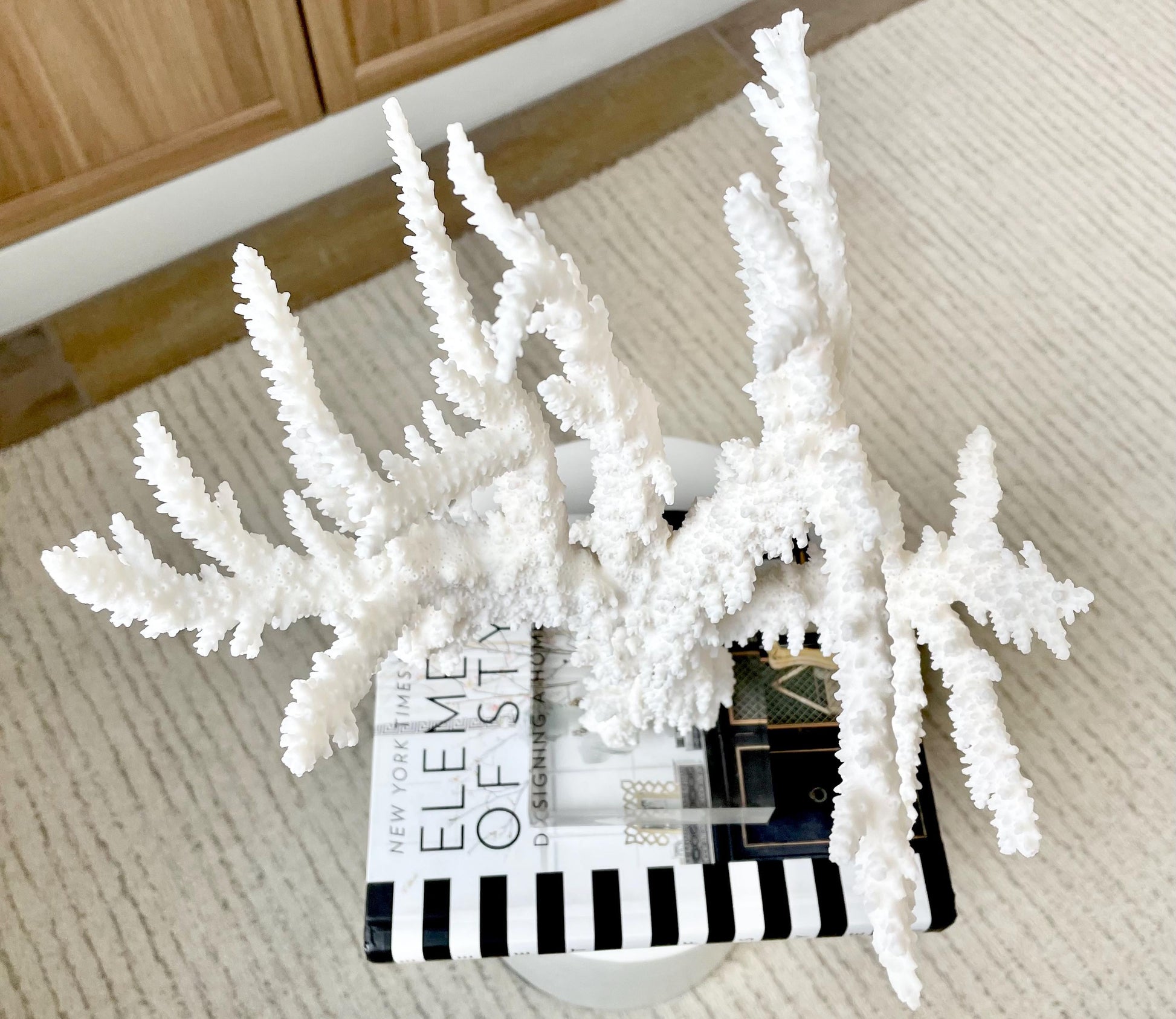 Genuine 100% Natural BRANCH CORAL 13" x 10" x 9" Long Fossil Specimen Coastal Ocean Reef Display Nautical Beach House Décor