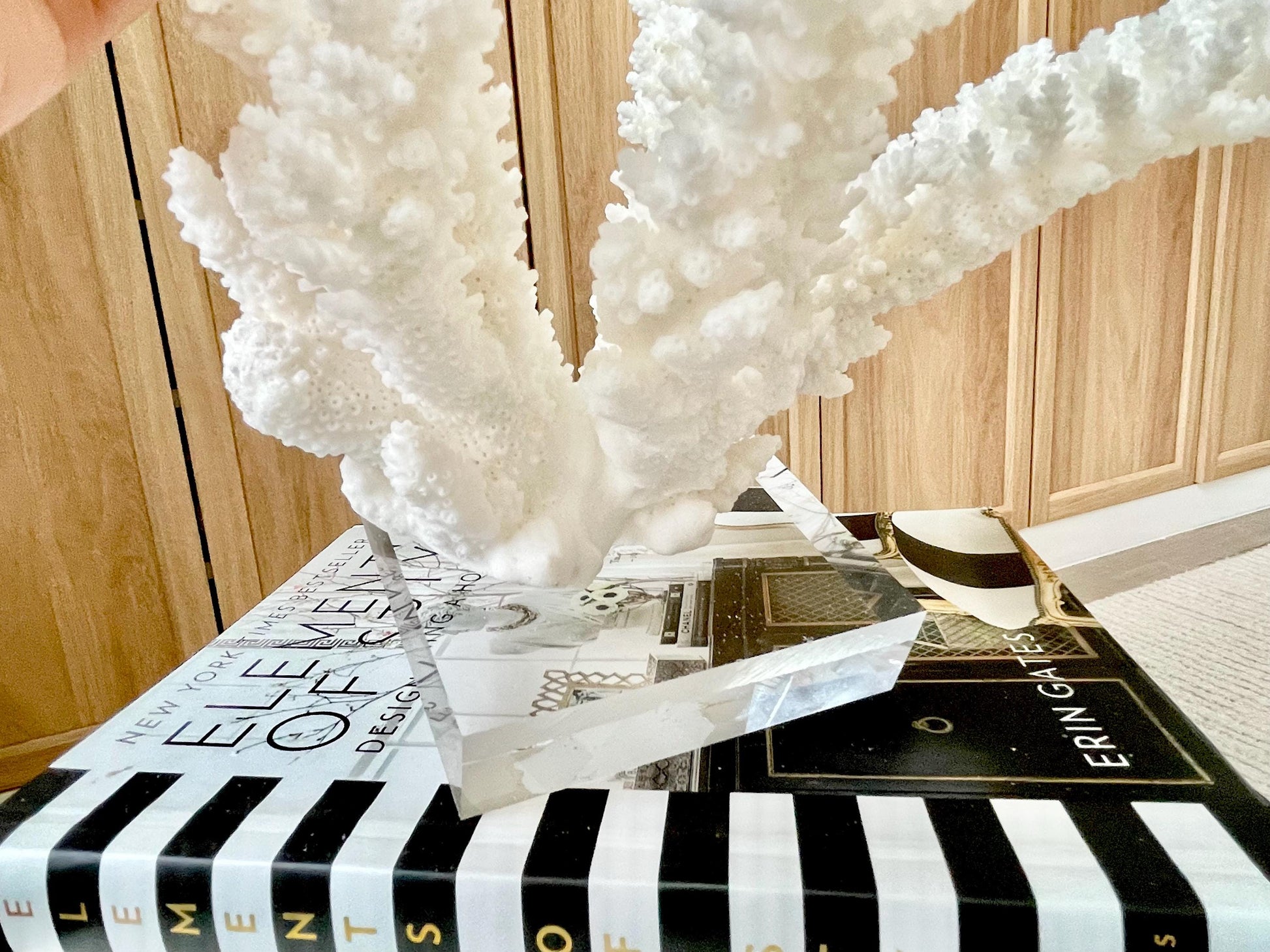 Genuine 100% Natural BRANCH CORAL 12" x 10" x 9" Long Fossil Specimen Coastal Ocean Reef Display Nautical Beach House Décor