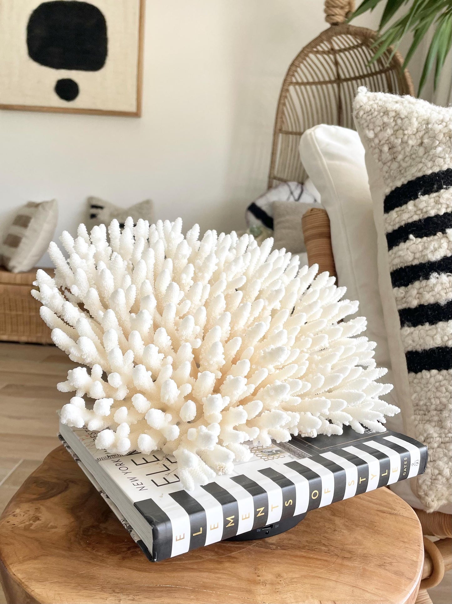 Genuine 100% Natural TABLE CORAL 12.75" x 6.75" x 6.75" White Fossil Specimen Coastal Beach House Décor