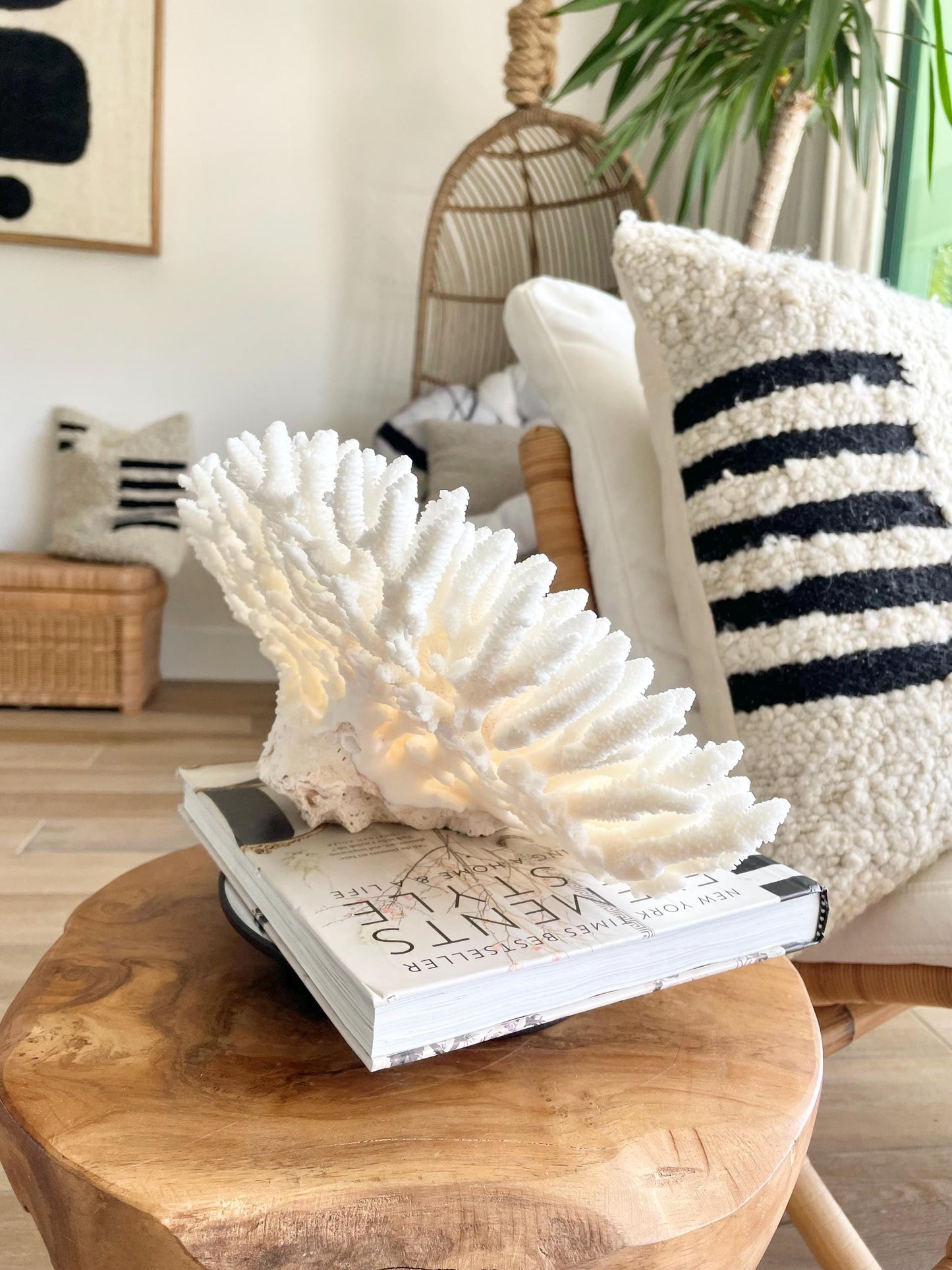 Genuine 100% Natural TABLE CORAL 12.75" x 6.75" x 6.75" White Fossil Specimen Coastal Beach House Décor