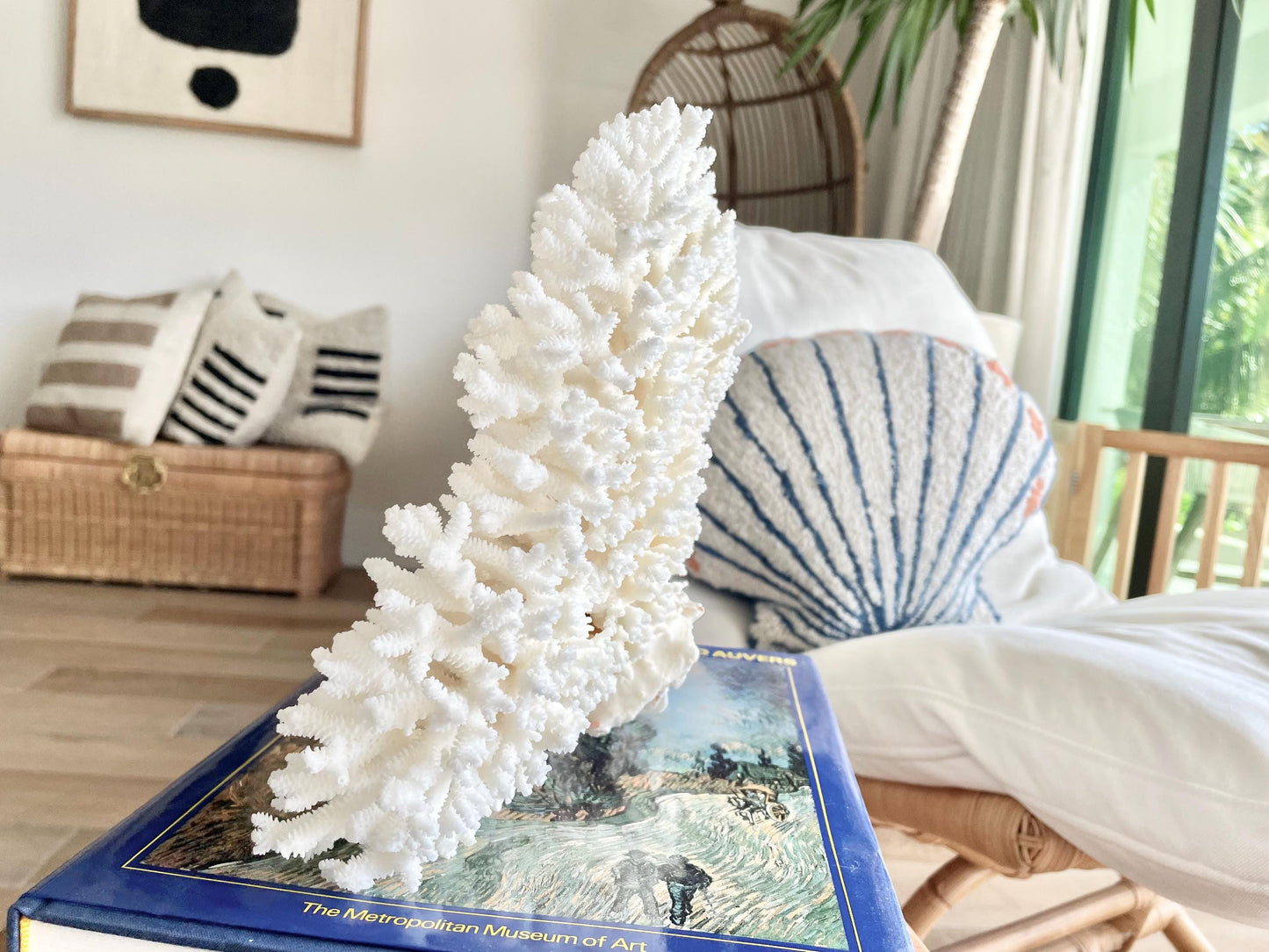 Genuine 100% Natural TABLE CORAL 12" x 9.5" x 5" White Fossil Specimen Coastal Beach House Décor