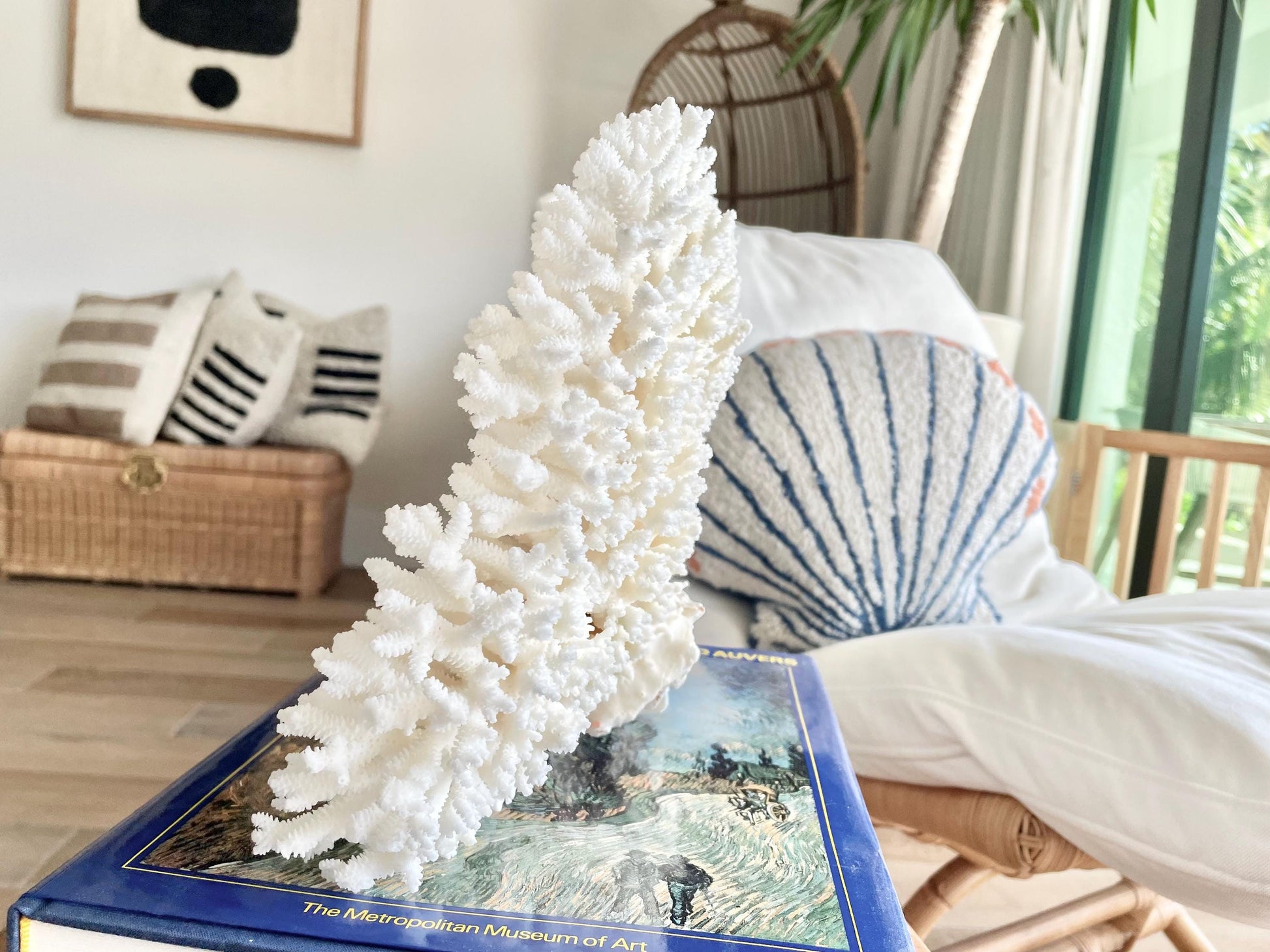 Genuine 100% Natural TABLE CORAL 12" x 9.5" x 5" White Fossil Specimen Coastal Beach House Décor