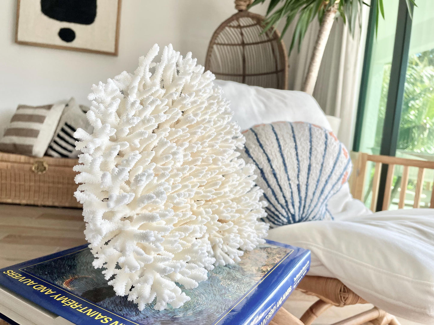 Genuine 100% Natural TABLE CORAL 12" x 9.5" x 5" White Fossil Specimen Coastal Beach House Décor