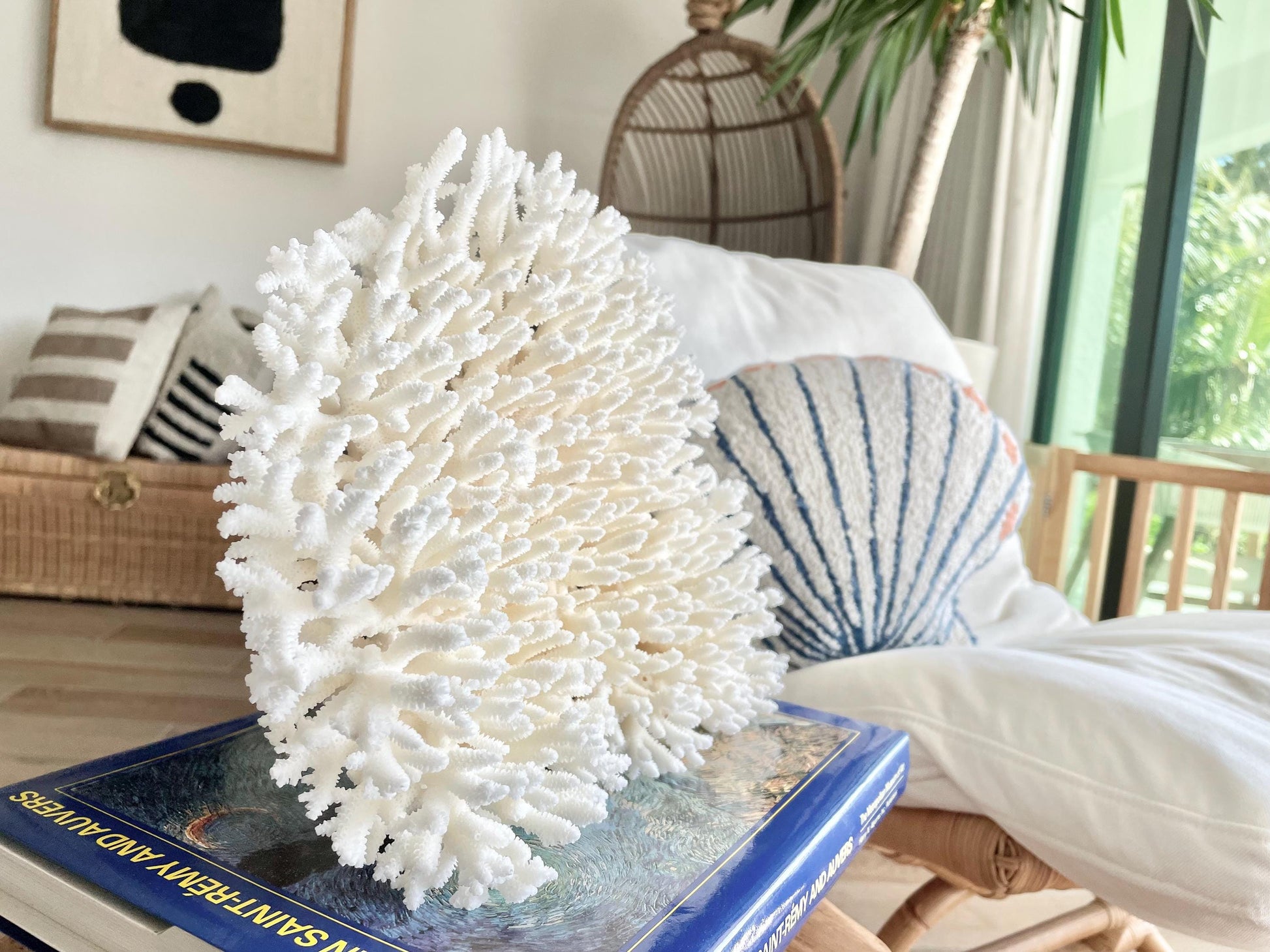 Genuine 100% Natural TABLE CORAL 12" x 9.5" x 5" White Fossil Specimen Coastal Beach House Décor